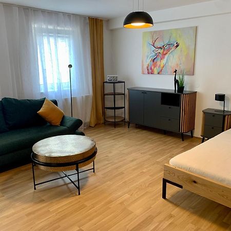 Air-Conditioned, Quiet Apartment With A Terrace In Center Of St Poelten - Smart Tv Sankt Poelten Luaran gambar