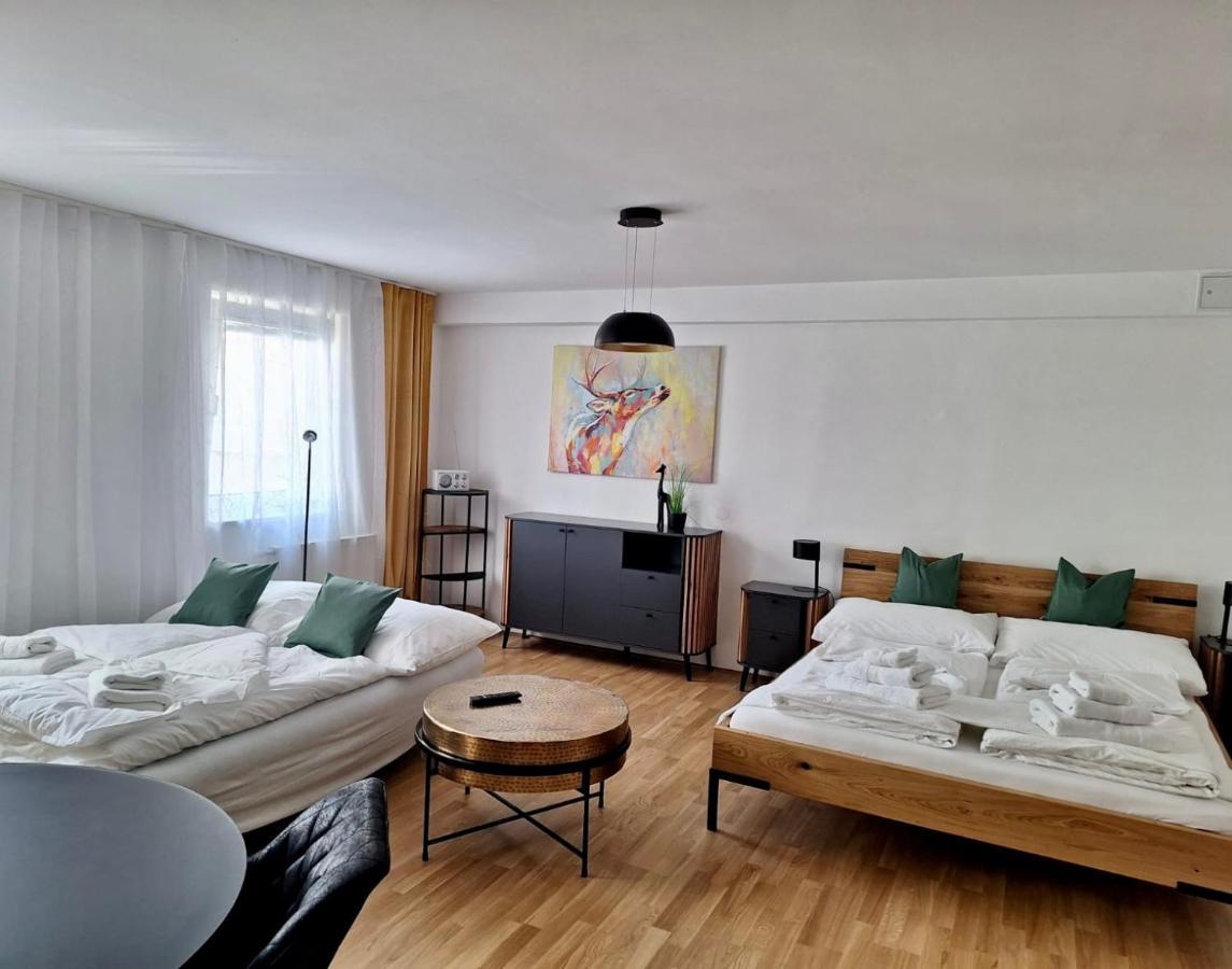 Air-Conditioned, Quiet Apartment With A Terrace In Center Of St Poelten - Smart Tv Sankt Poelten Luaran gambar